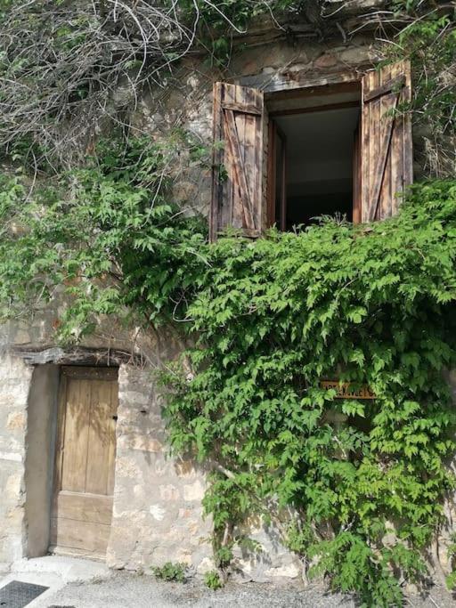 La Maison De La Vigne Bauduen Buitenkant foto